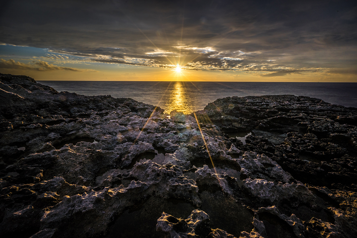 Rocky Shoreline